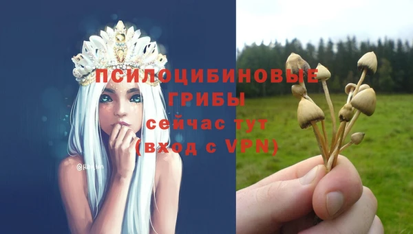 бошки Липки