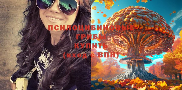 mdma Лиски